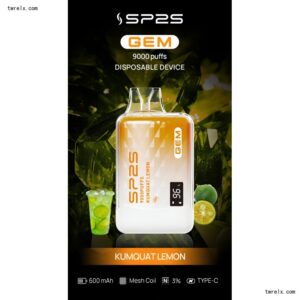 SP2S GEM 9000 Puffs拋棄式電子煙 一次性可充電電子煙 台灣現貨 3 17344213371369