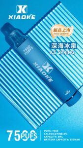 梟客 7500口大容量拋棄式電子煙 可重複充電高品質一次性電子煙推薦 3 梟客 7500口