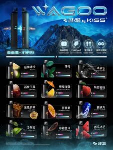 WAGOO&kis5 6500口拋棄式 哇酷一次性電子煙 自由混搭雙口味 雙芯組合 2 哇酷kis